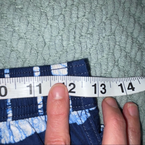 Land’s End Blue Striped Swim Trunks - Picture 6 of 8